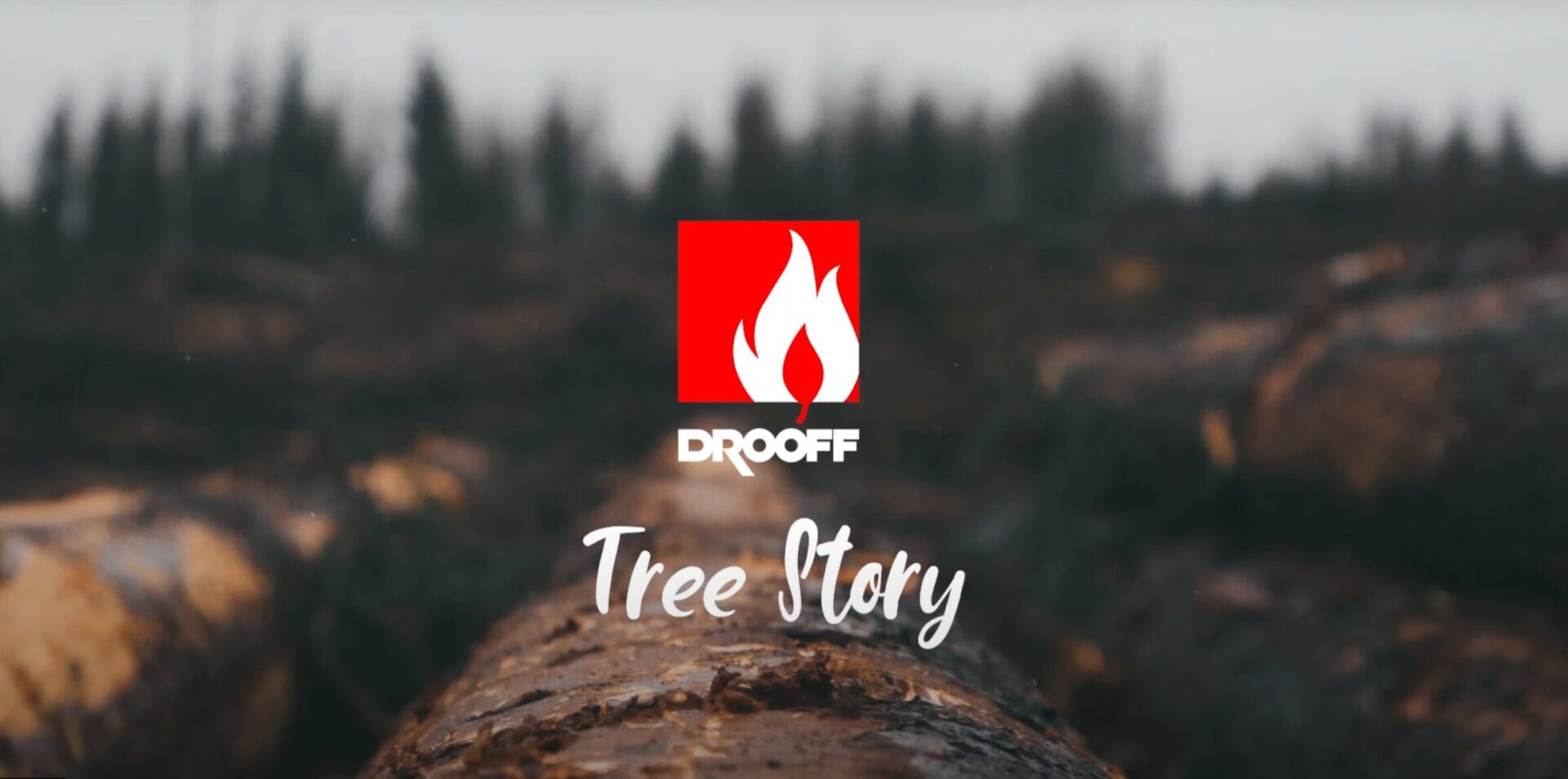 Die DROOFF Kaminöfen Tree Story